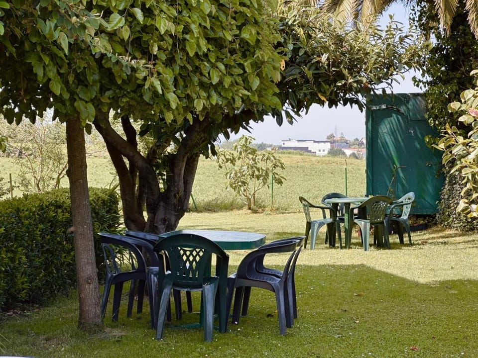 Natural landscape, Garden, Garden view