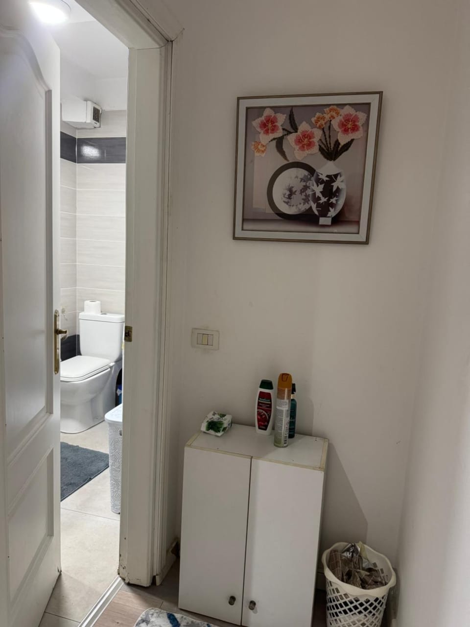 New Ring Apartment Apartment in Tirana