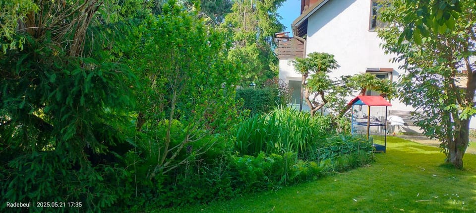 Day, Garden, Garden view