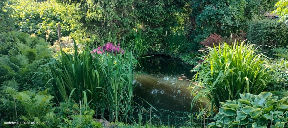 Day, Garden, Garden view