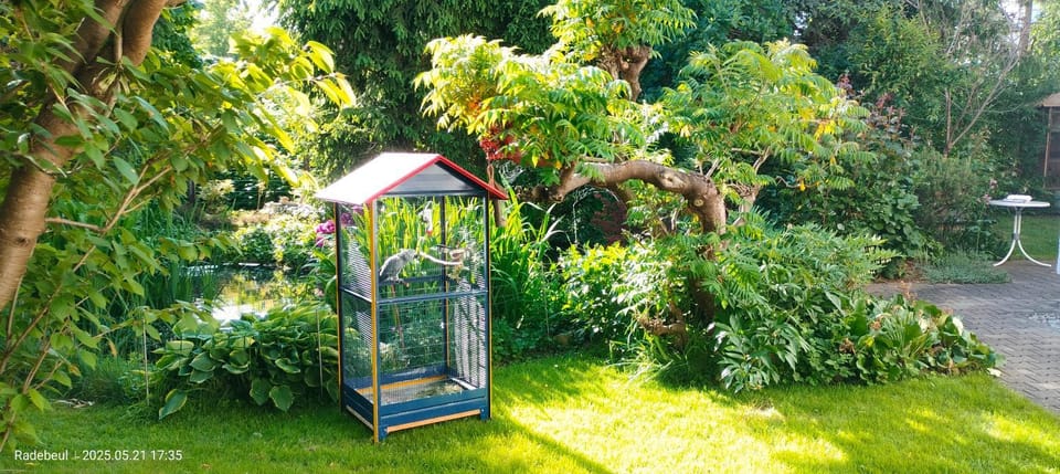 Natural landscape, Garden, Garden view