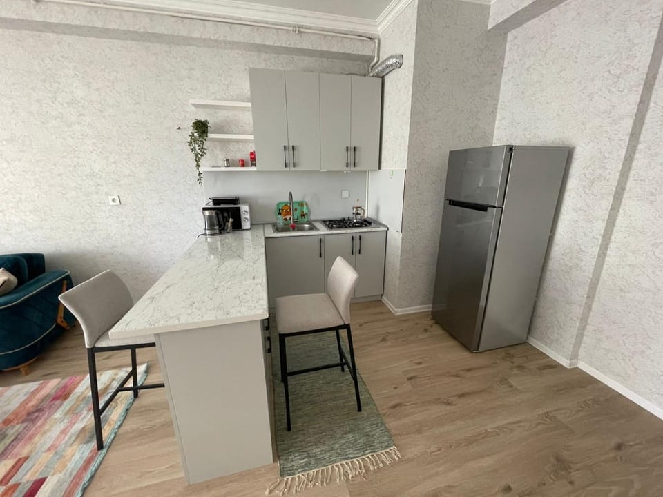 Kitchen or kitchenette, Dining area, stove