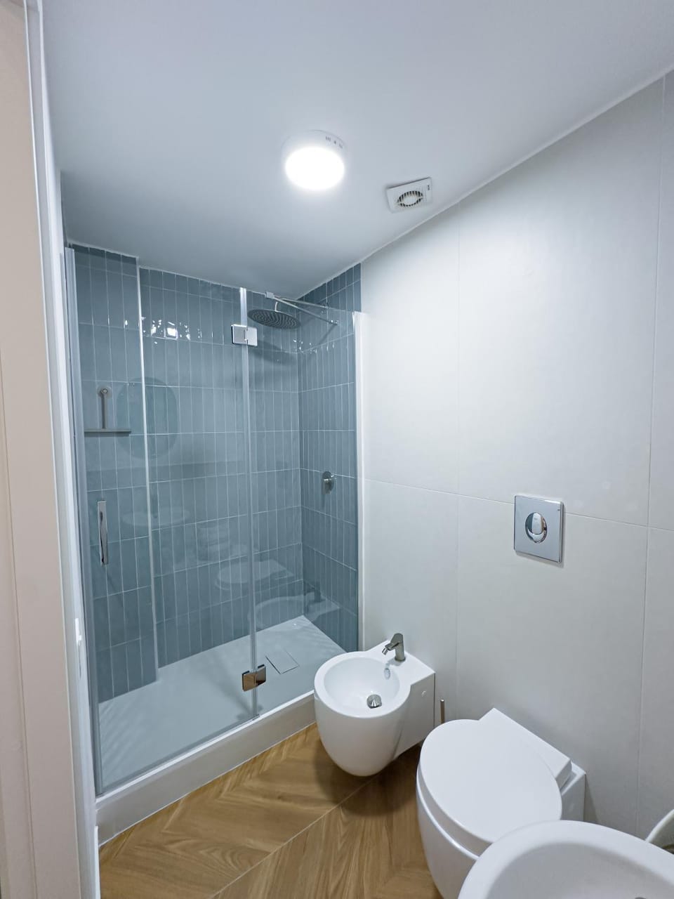 Shower, Toilet, Bathroom, bidet