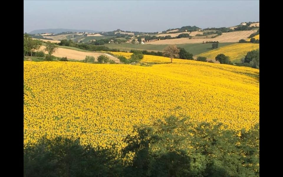 Al Poggio Villa in Marche