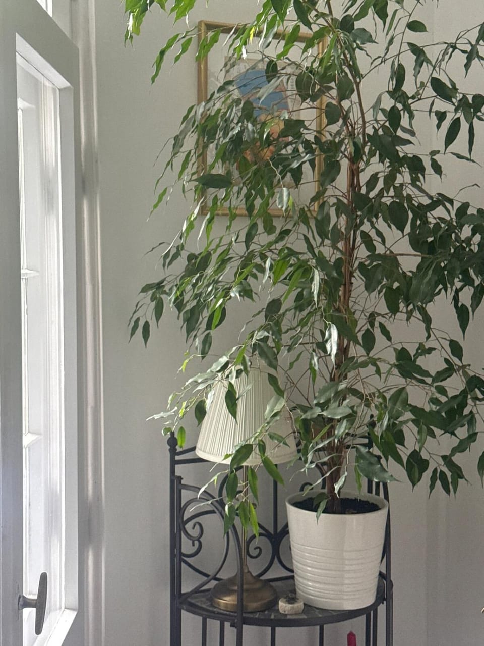 Romantic and cozy studio Apartment in Szczecin