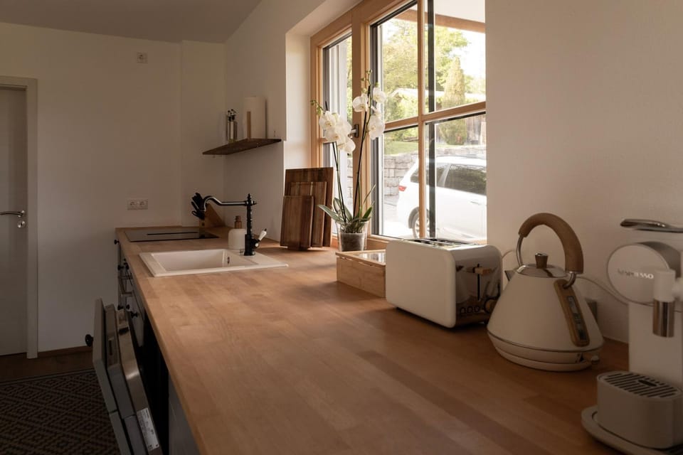 Kitchen or kitchenette, dishwasher, stove