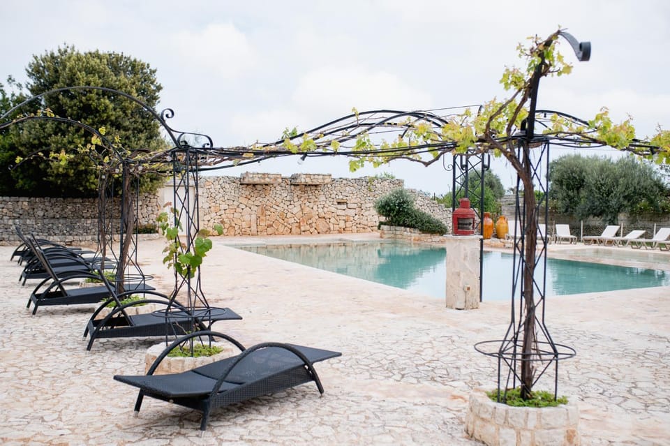 Garden, Decorative detail, Garden view, Pool view, Swimming pool, sunbed