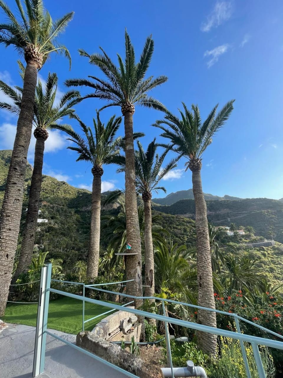 Casa Carlos Apartment in La Gomera