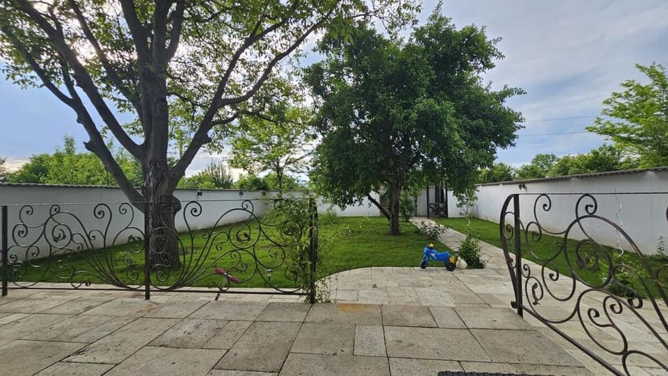Day, Garden, Garden view