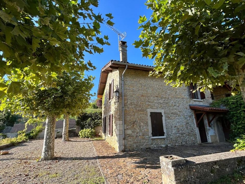 Property building, Garden, Garden view