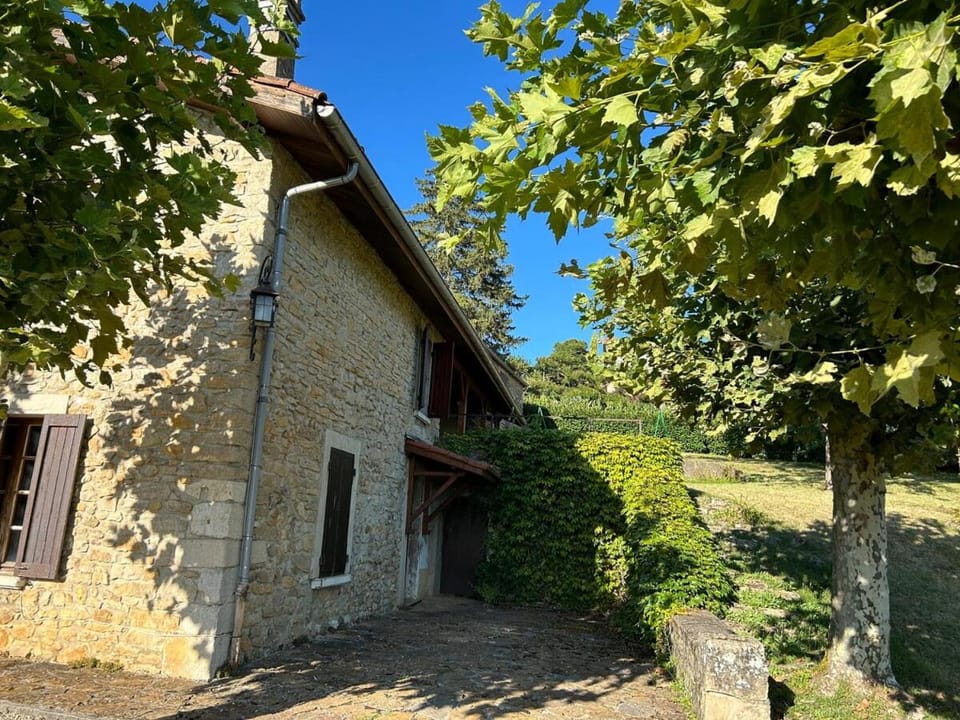 Property building, Garden, Garden view