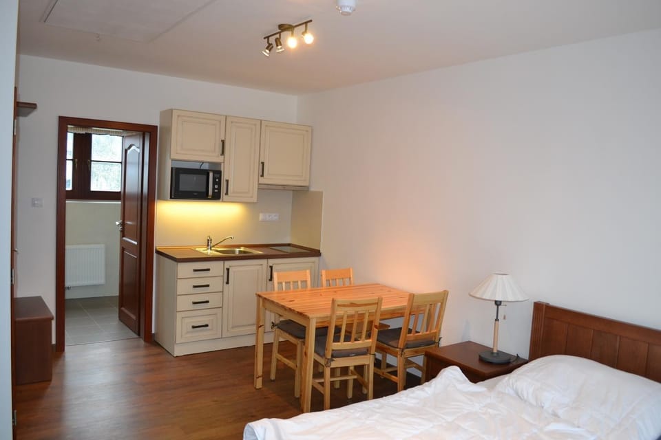 Kitchen or kitchenette, Bedroom