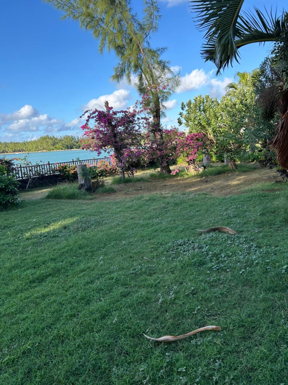 Greenyvilla Apartment in Rivière du Rempart District, Mauritius