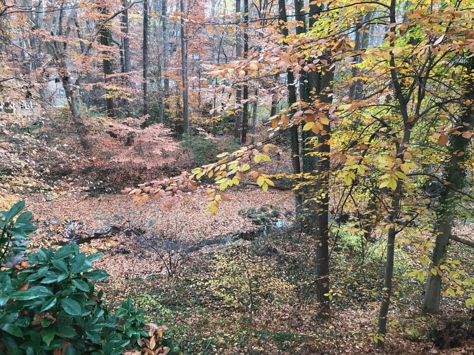 Natural landscape, View (from property/room)