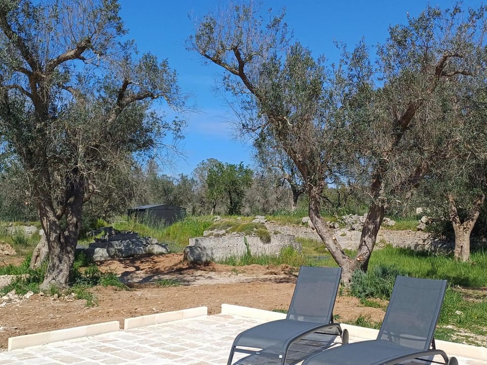 Spring, Garden