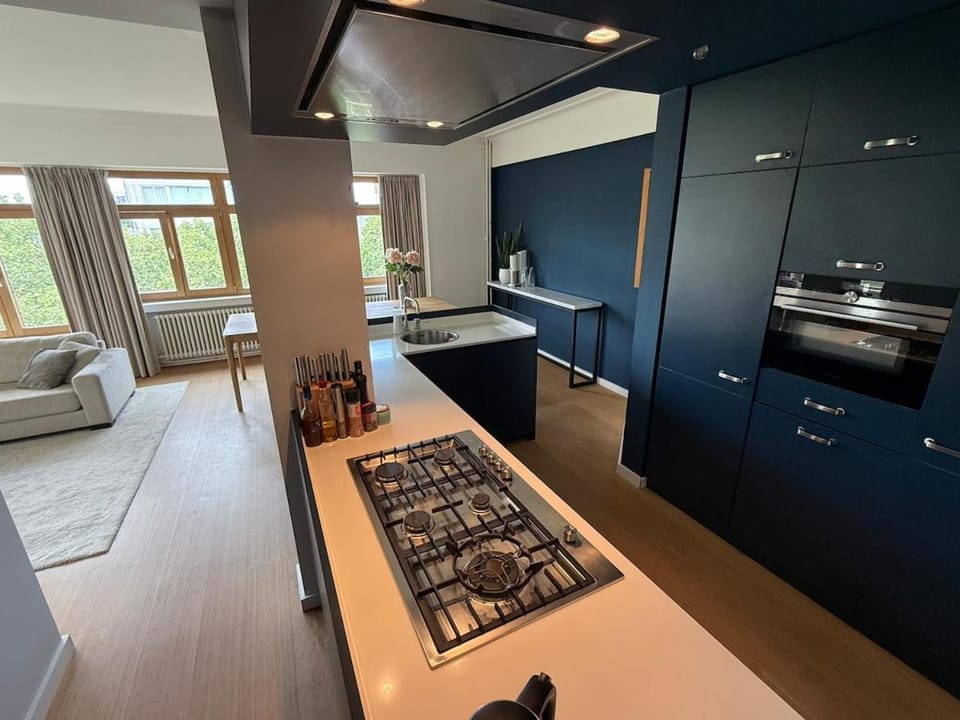 Kitchen or kitchenette, dishwasher, stove
