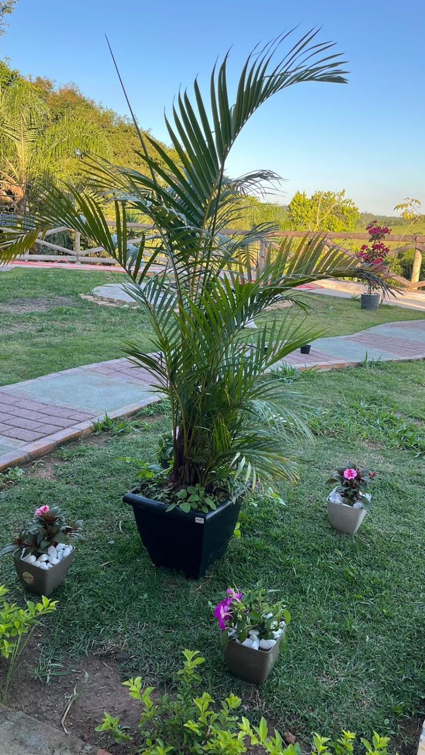 Chalé Paraíso Guararema 3 Chalet in State of São Paulo