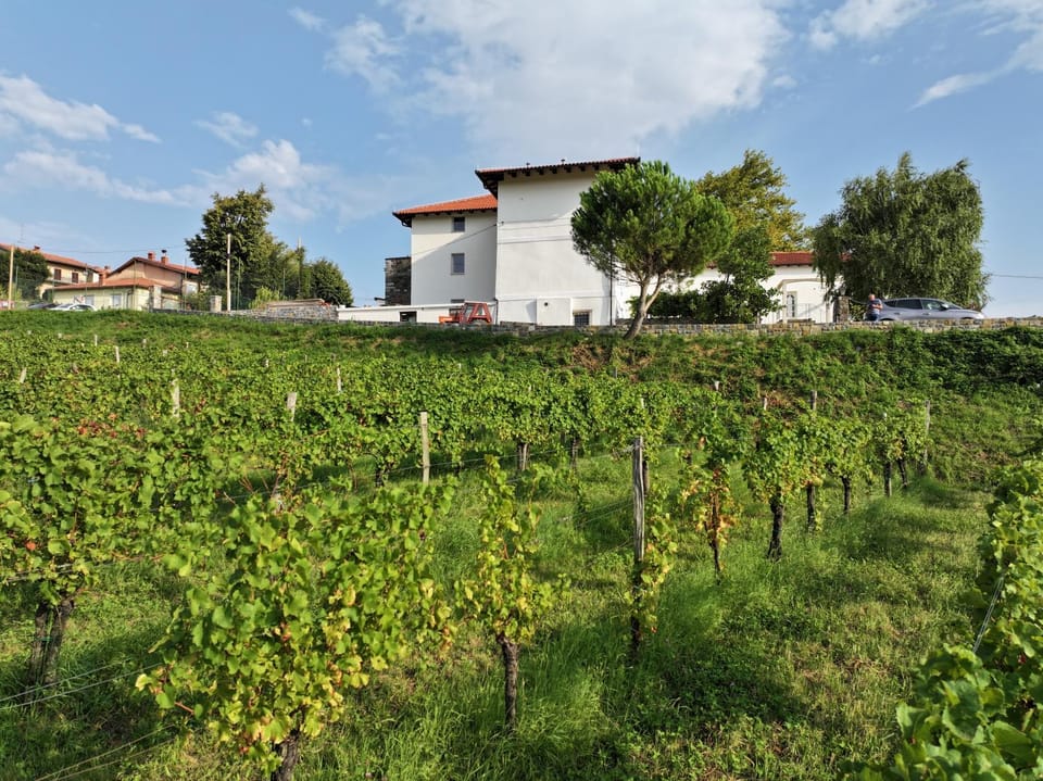 Property building, Natural landscape, Location