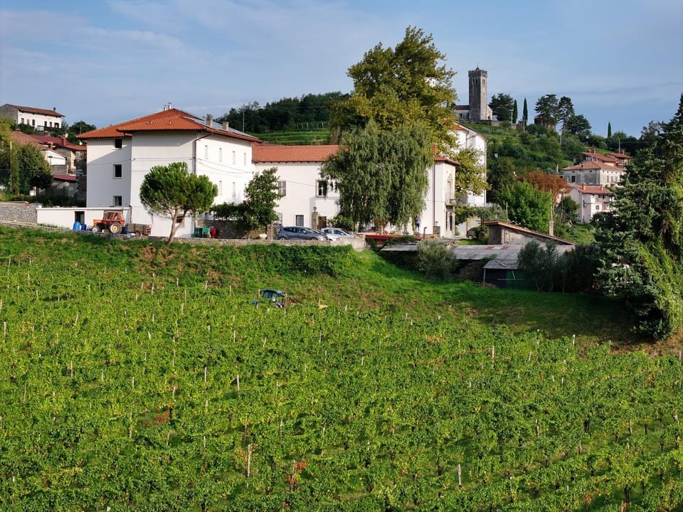 Property building, Nearby landmark, Natural landscape