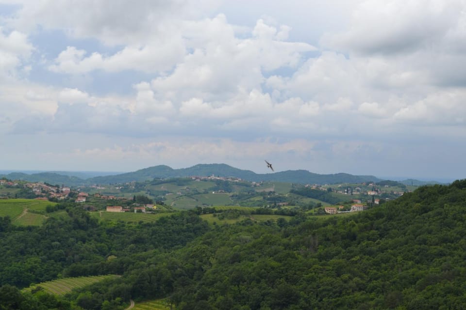 Natural landscape, View (from property/room)