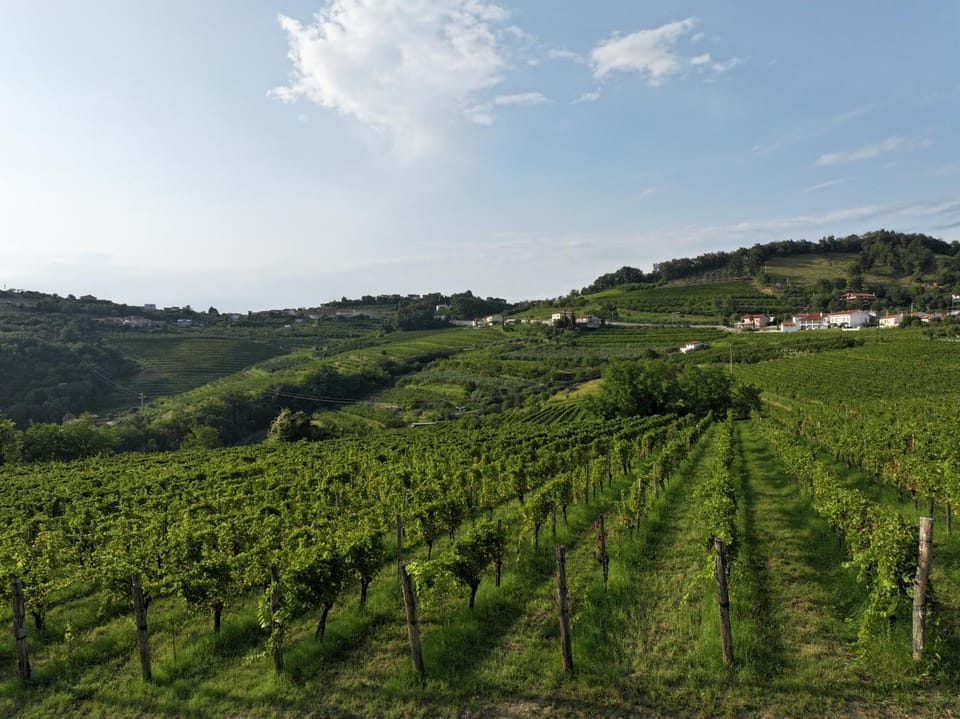 Natural landscape, View (from property/room)