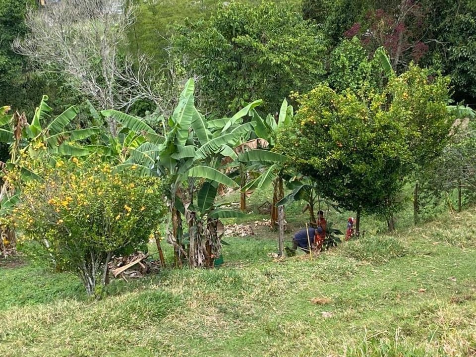 Finca Talavera de La Reina House in Cundinamarca, Colombia
