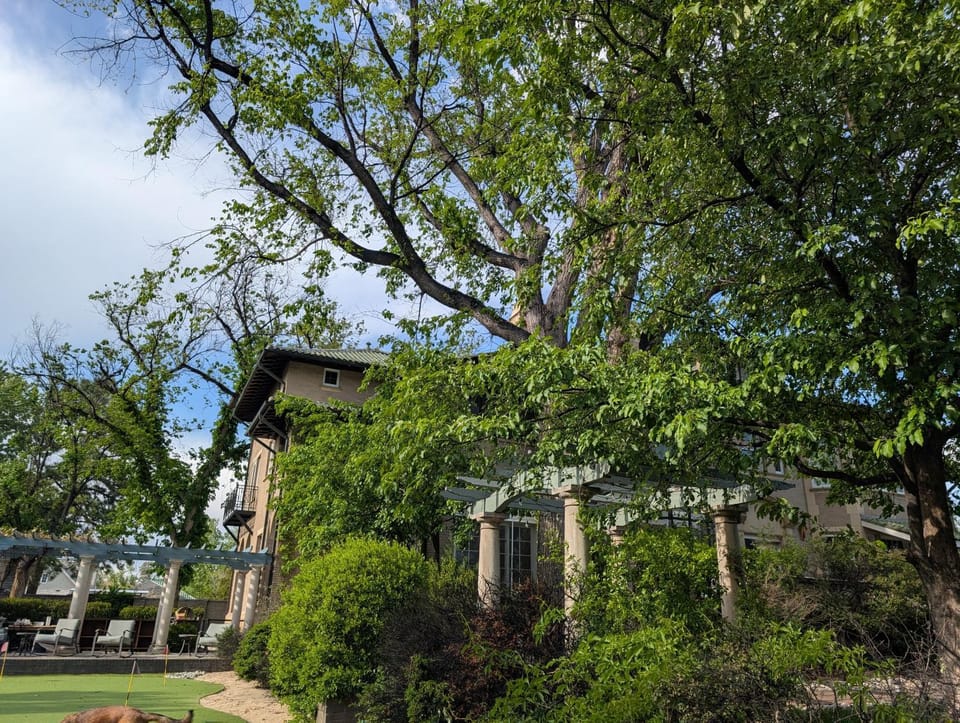 Day, Garden, Garden view