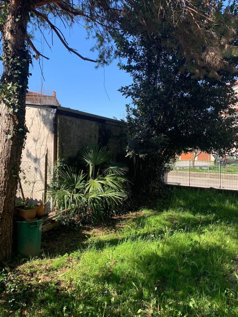 Garden, Garden, Garden view