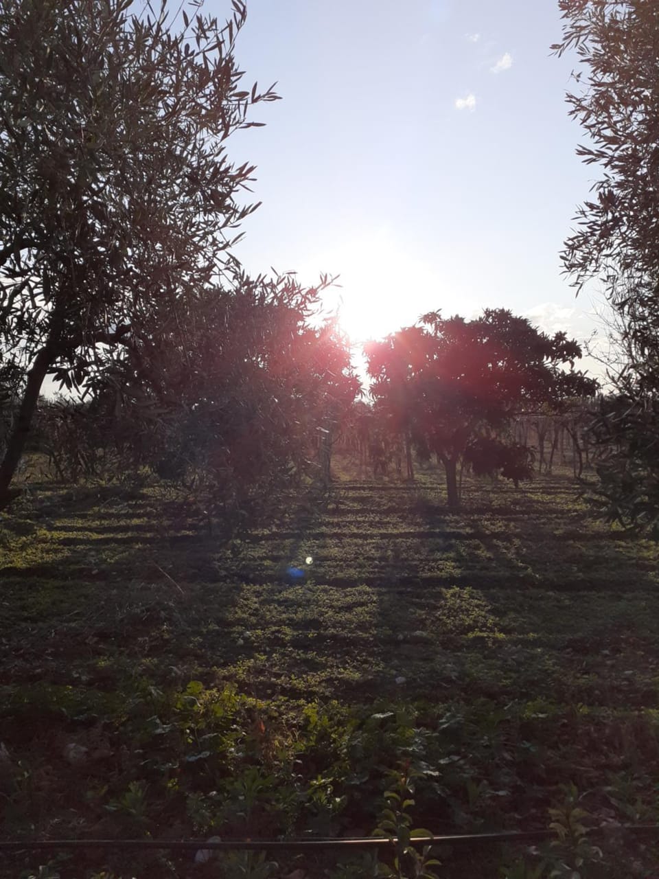 B&B Posta Piana Bed and Breakfast in Province of Foggia