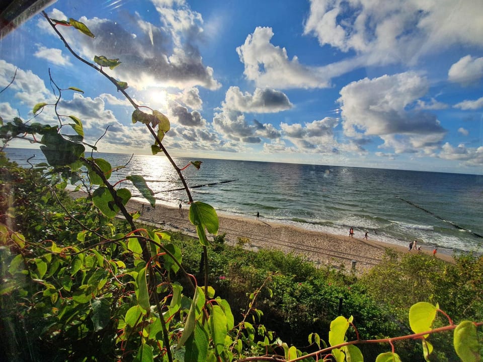 Neighbourhood, Natural landscape, Beach