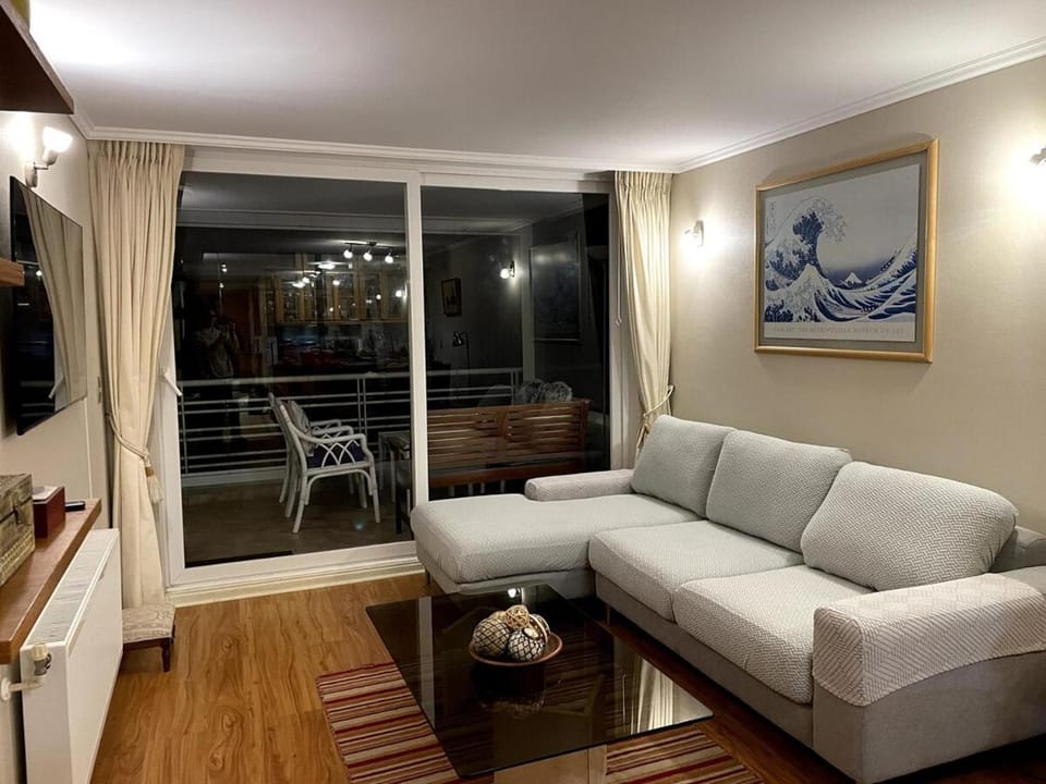Preciosa vista junto al mar Apartment in Vina del Mar