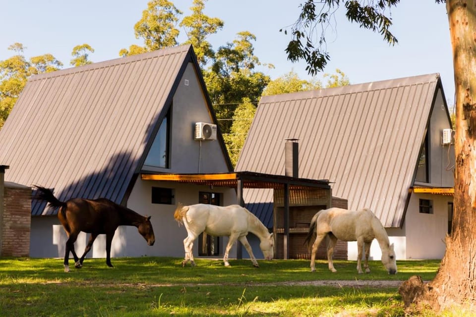 Cabañas La Rosalía House in Entre Ríos Province, Argentina