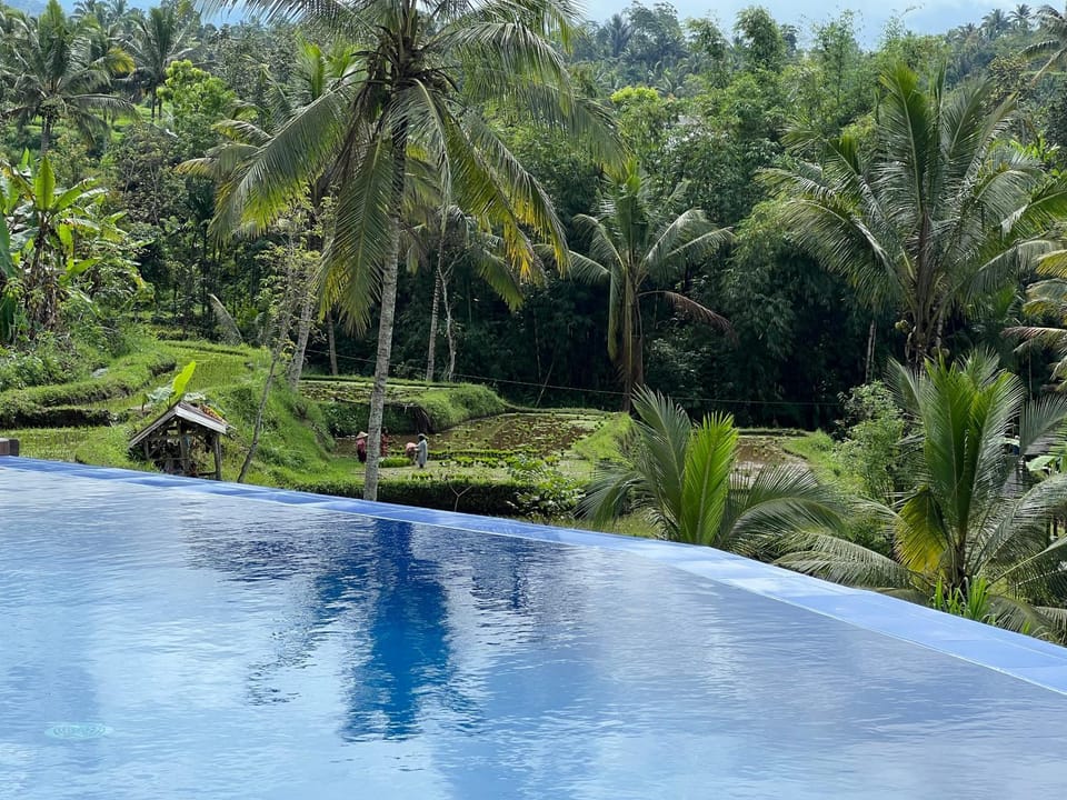 Natural landscape, Pool view, Swimming pool