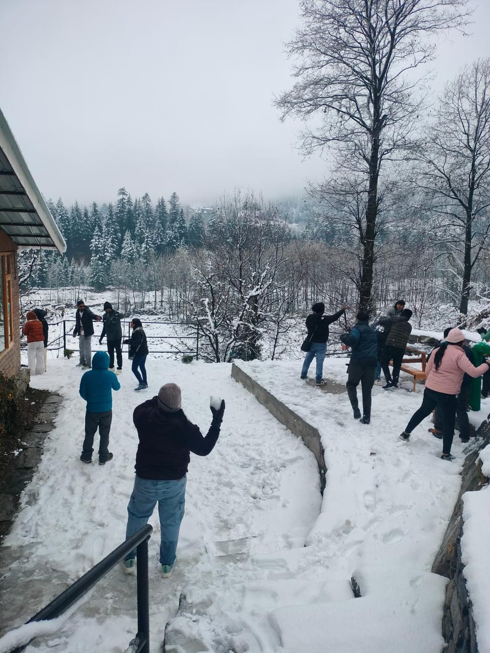 Natural landscape, Winter