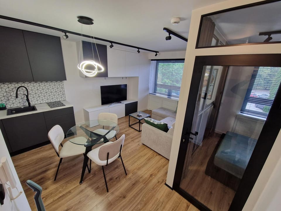 Kitchen or kitchenette, Living room