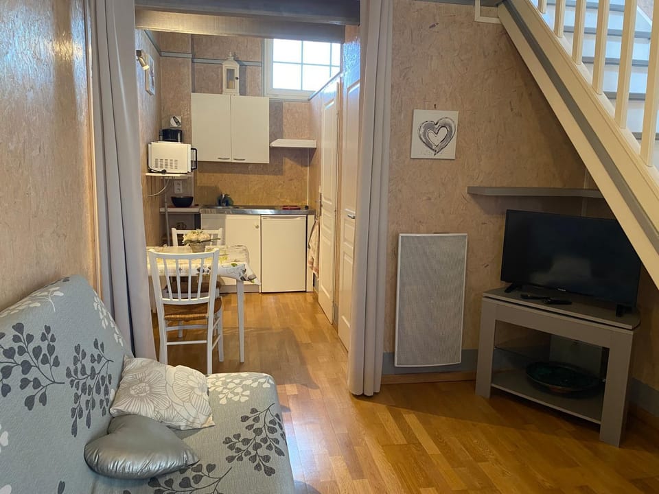 TV and multimedia, Kitchen or kitchenette, Seating area, Dining area, minibar, pet friendly, stove