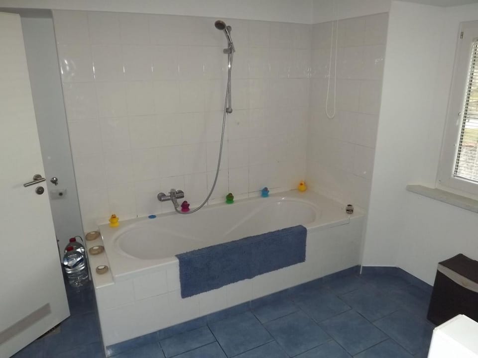 Shower, Bathroom, Photo of the whole room