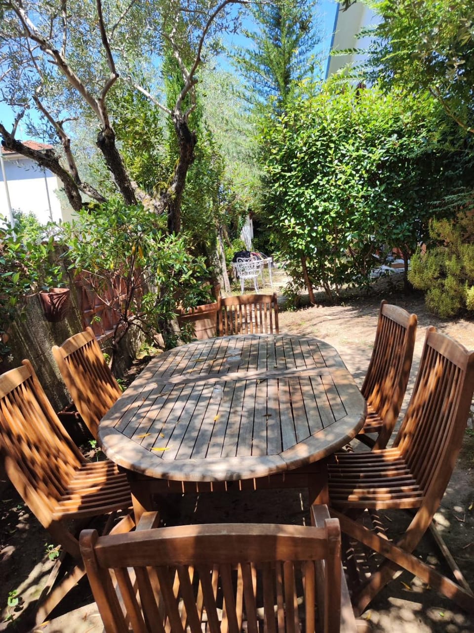 Garden, Garden, Garden view
