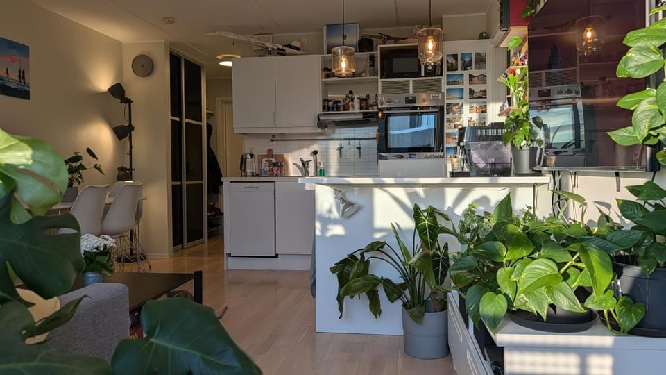 Coffee/tea facilities, Kitchen or kitchenette, oven