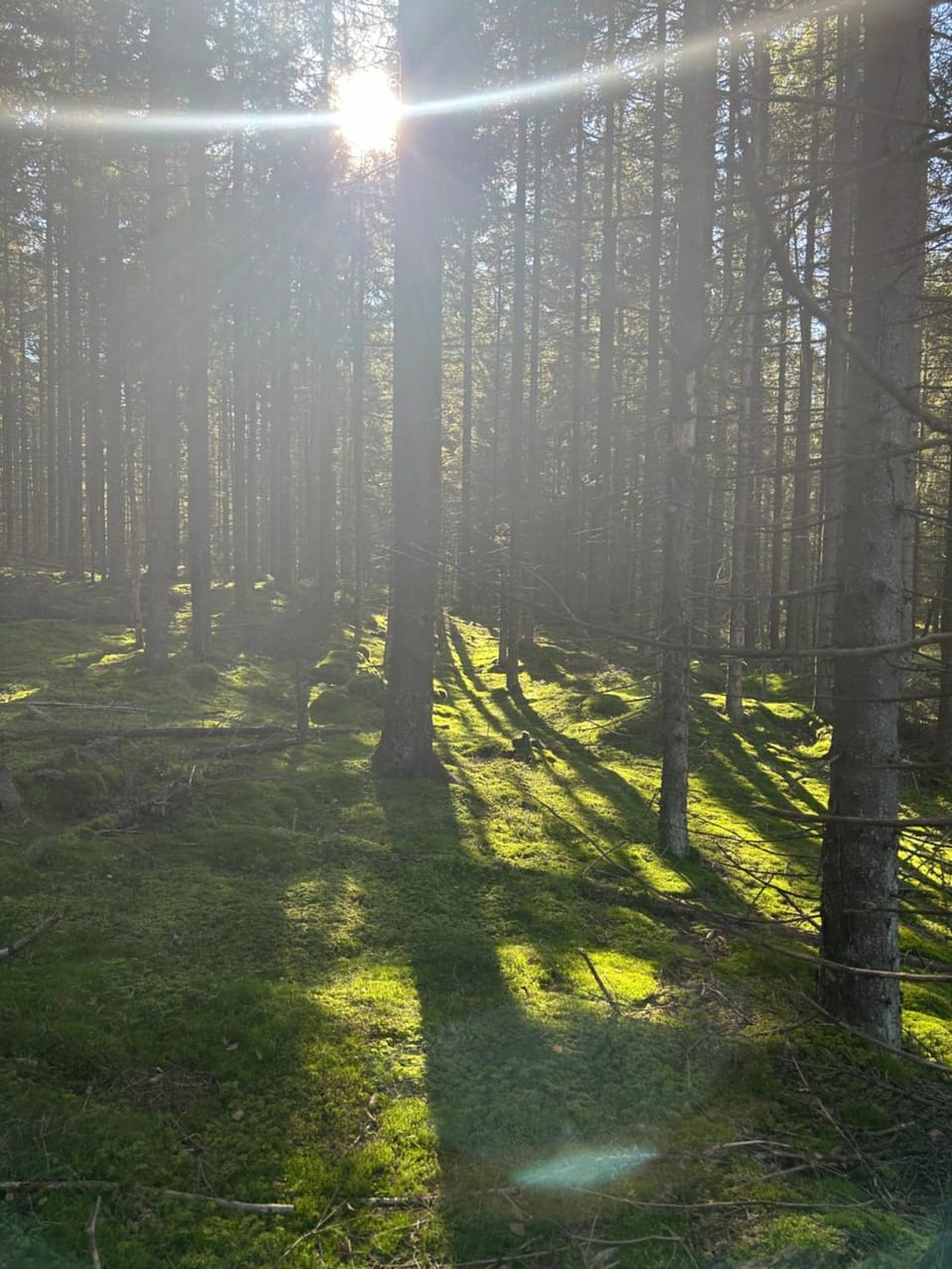 Natural landscape