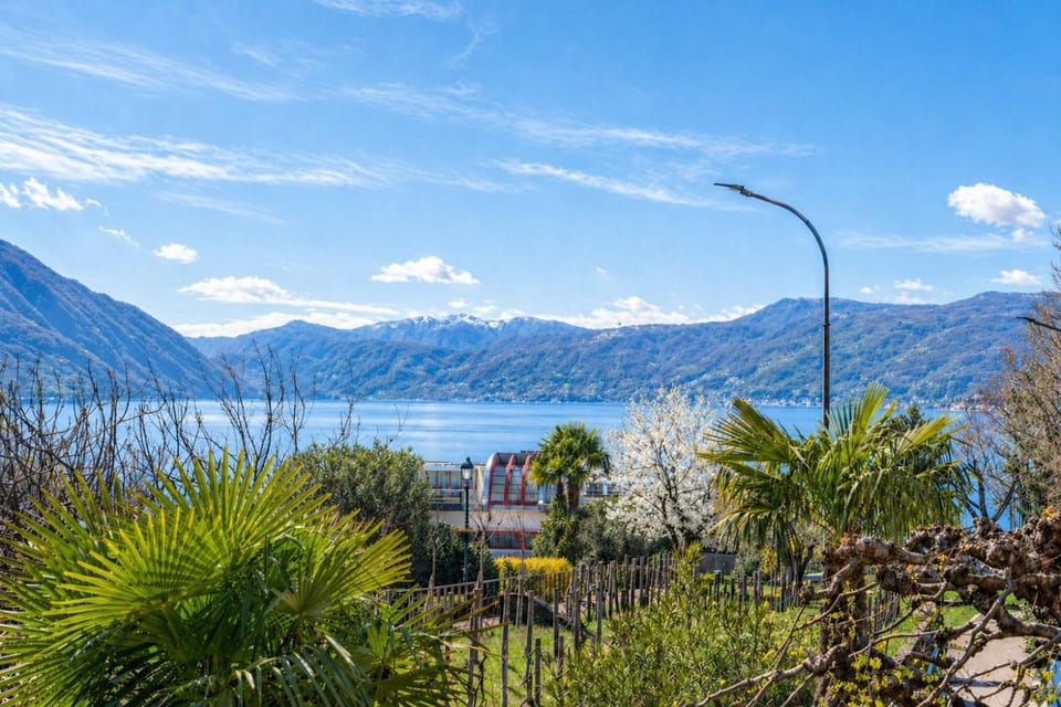 Lake view