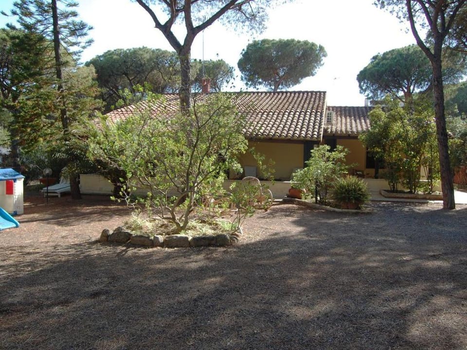 Garden, Garden view