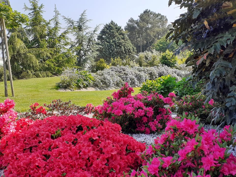 Natural landscape, Garden