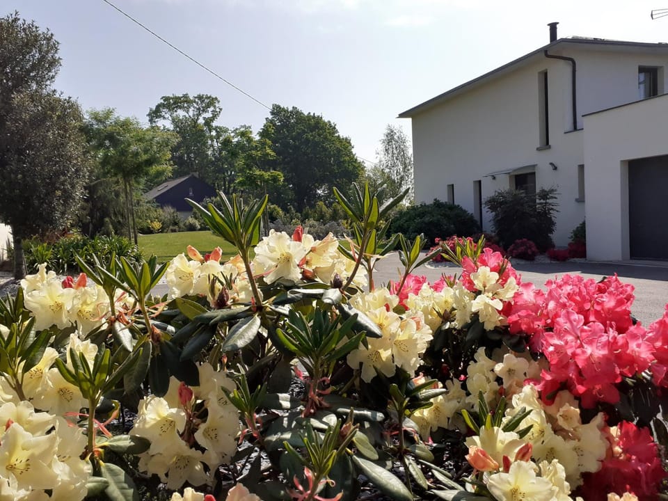 Garden, Garden view