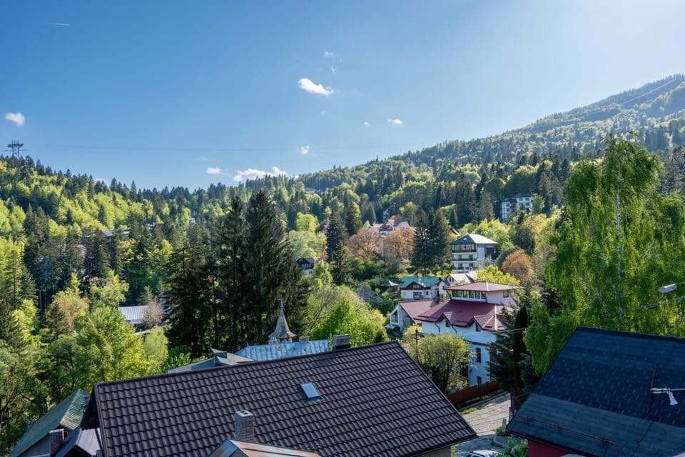 Vila Ferdinand - Apartament Iarina Apartment in Sinaia