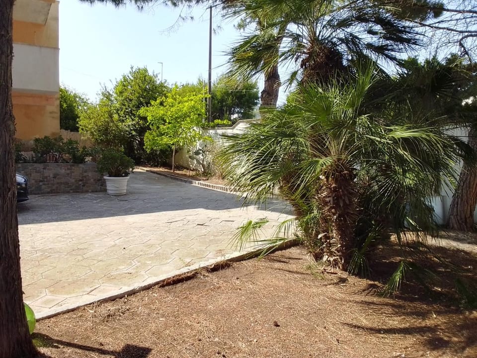 Garden, Garden view