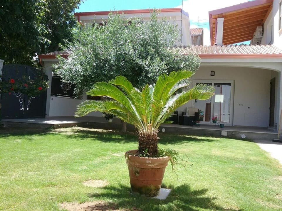 Property building, Garden, Garden, Garden view