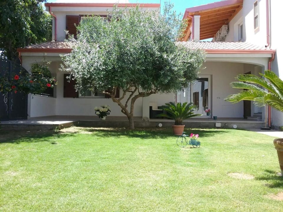Property building, Garden, Garden, Garden view