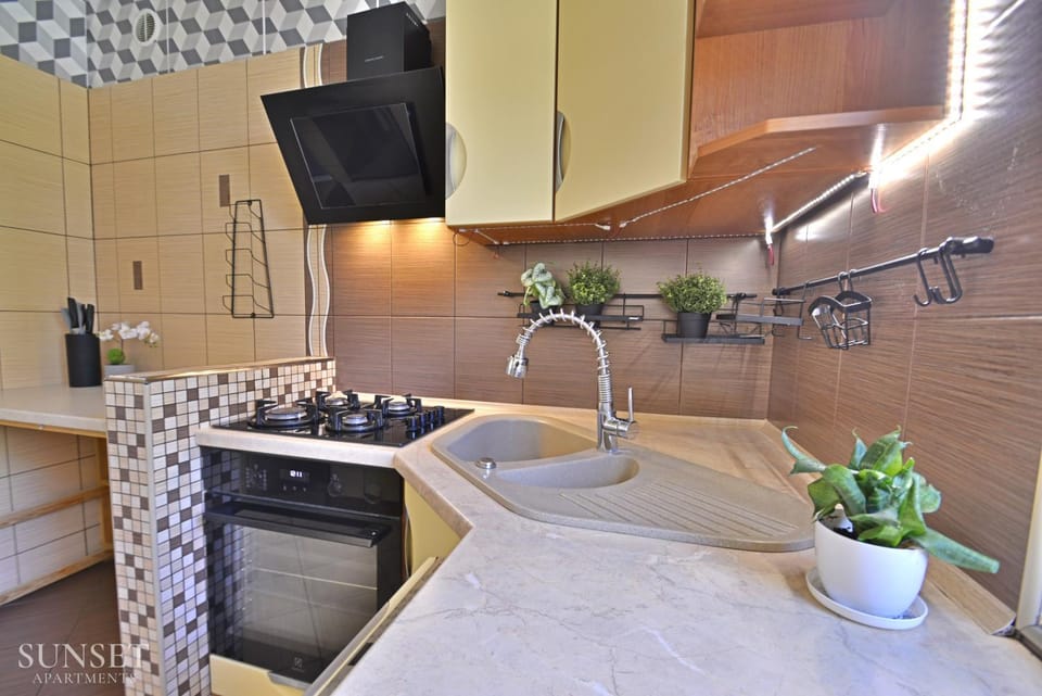 Kitchen or kitchenette, dishwasher, stove