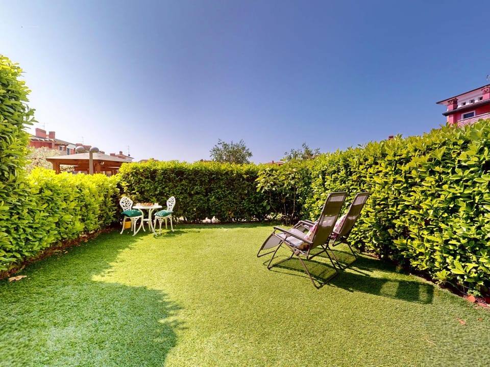 Patio, Garden, Garden view